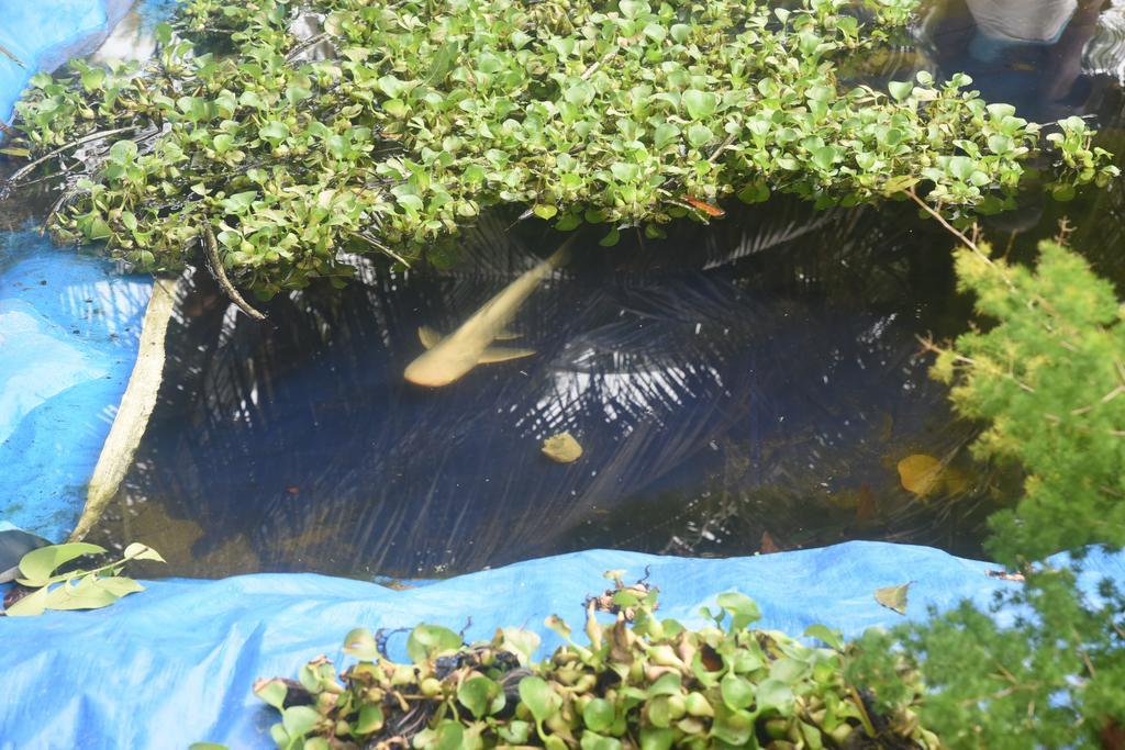 Marari Bethsaida Homestay Shertallai Buitenkant foto