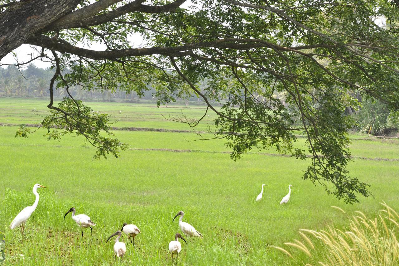 Marari Bethsaida Homestay Shertallai Buitenkant foto