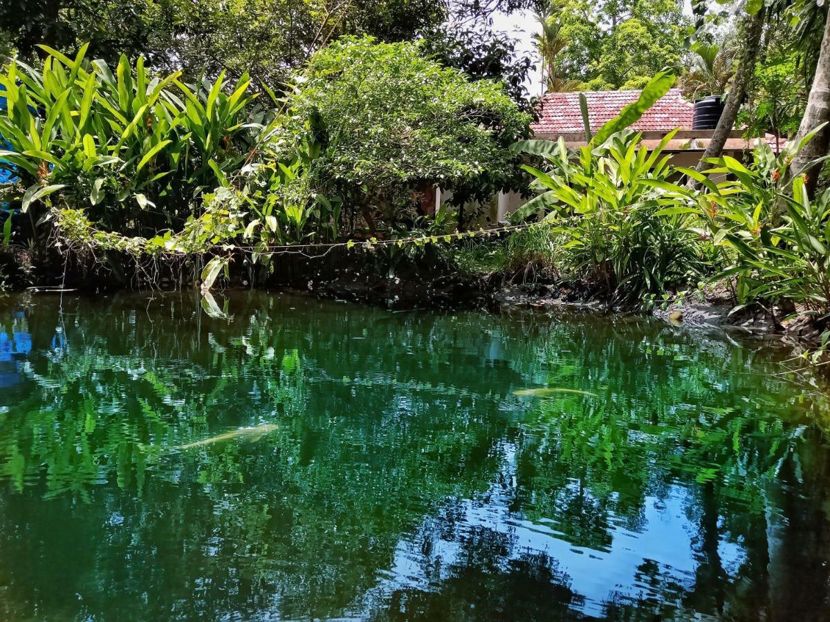 Marari Bethsaida Homestay Shertallai Buitenkant foto