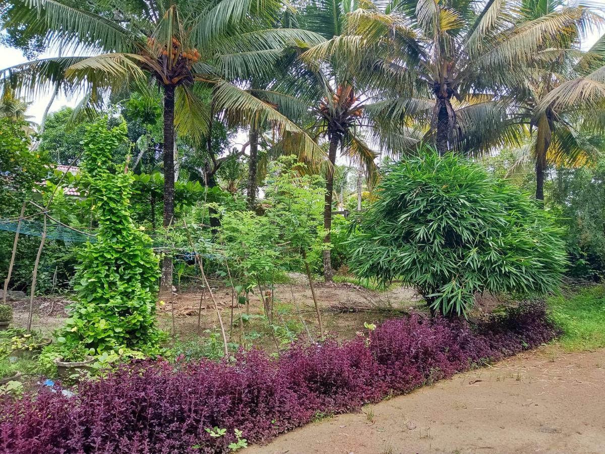 Marari Bethsaida Homestay Shertallai Buitenkant foto