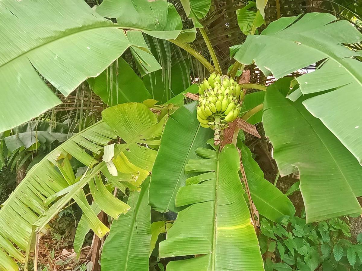 Marari Bethsaida Homestay Shertallai Buitenkant foto