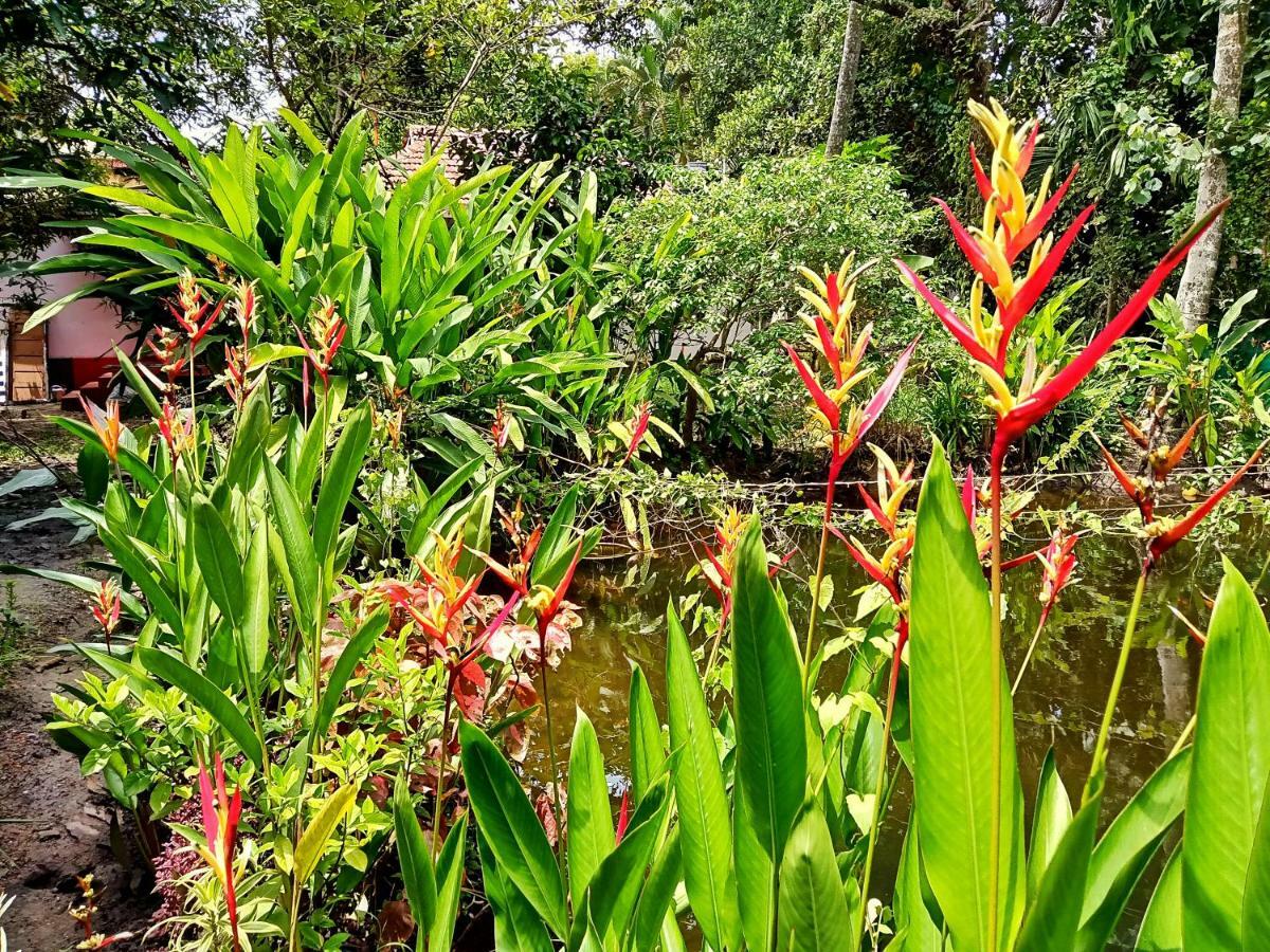 Marari Bethsaida Homestay Shertallai Buitenkant foto