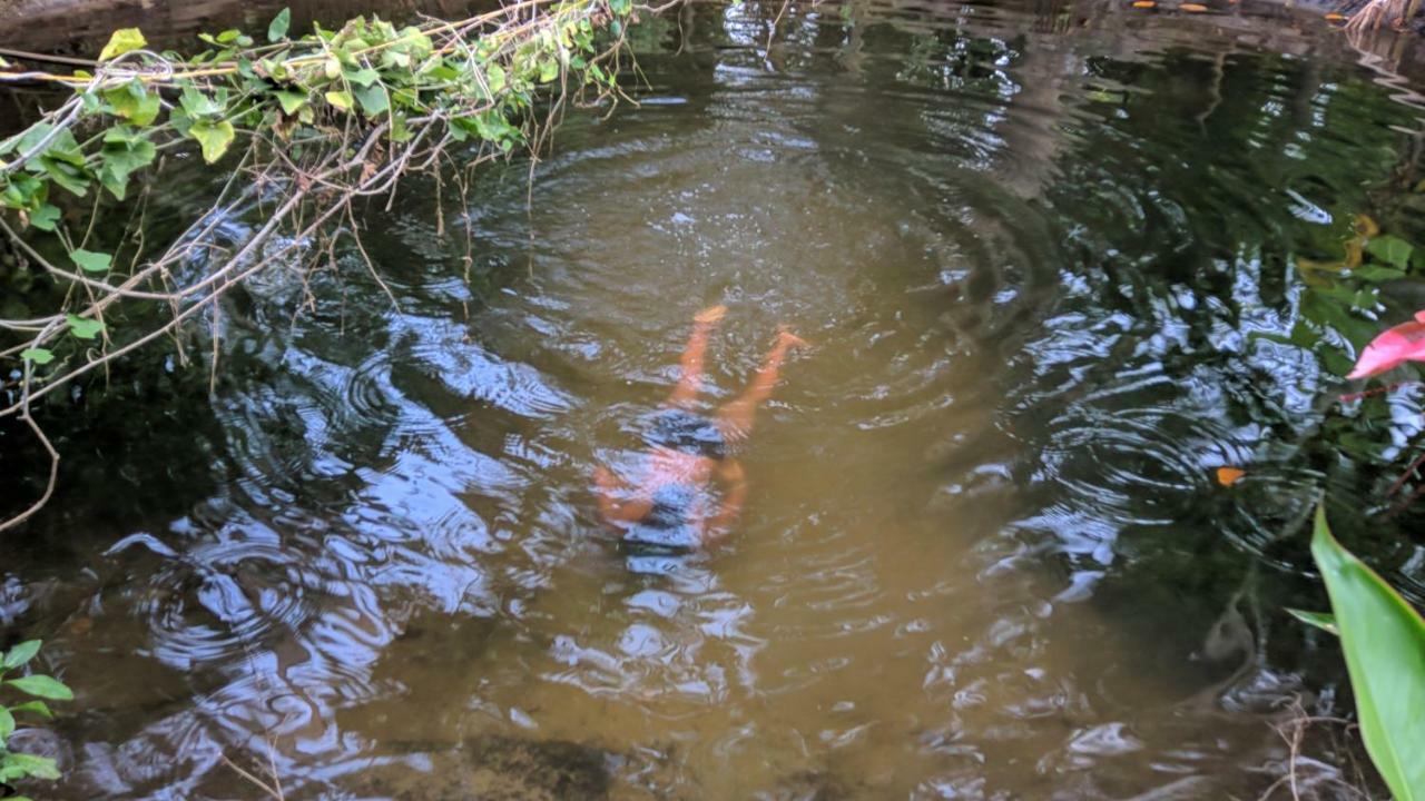 Marari Bethsaida Homestay Shertallai Buitenkant foto